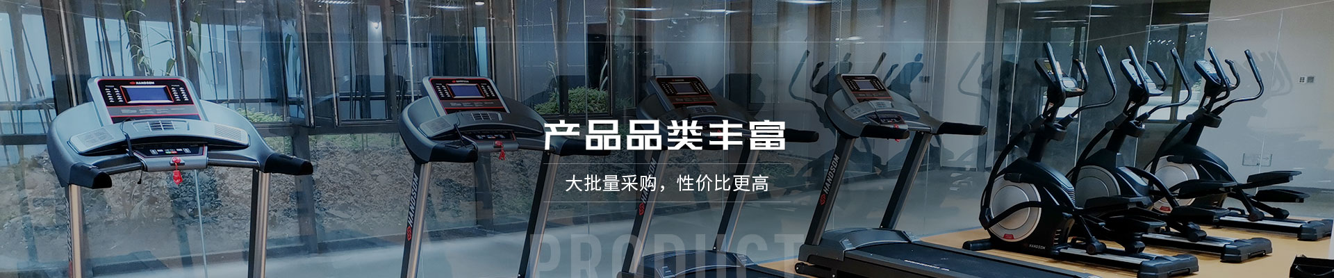 室內健身器材